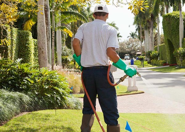 About Haynesville VA Pest Control